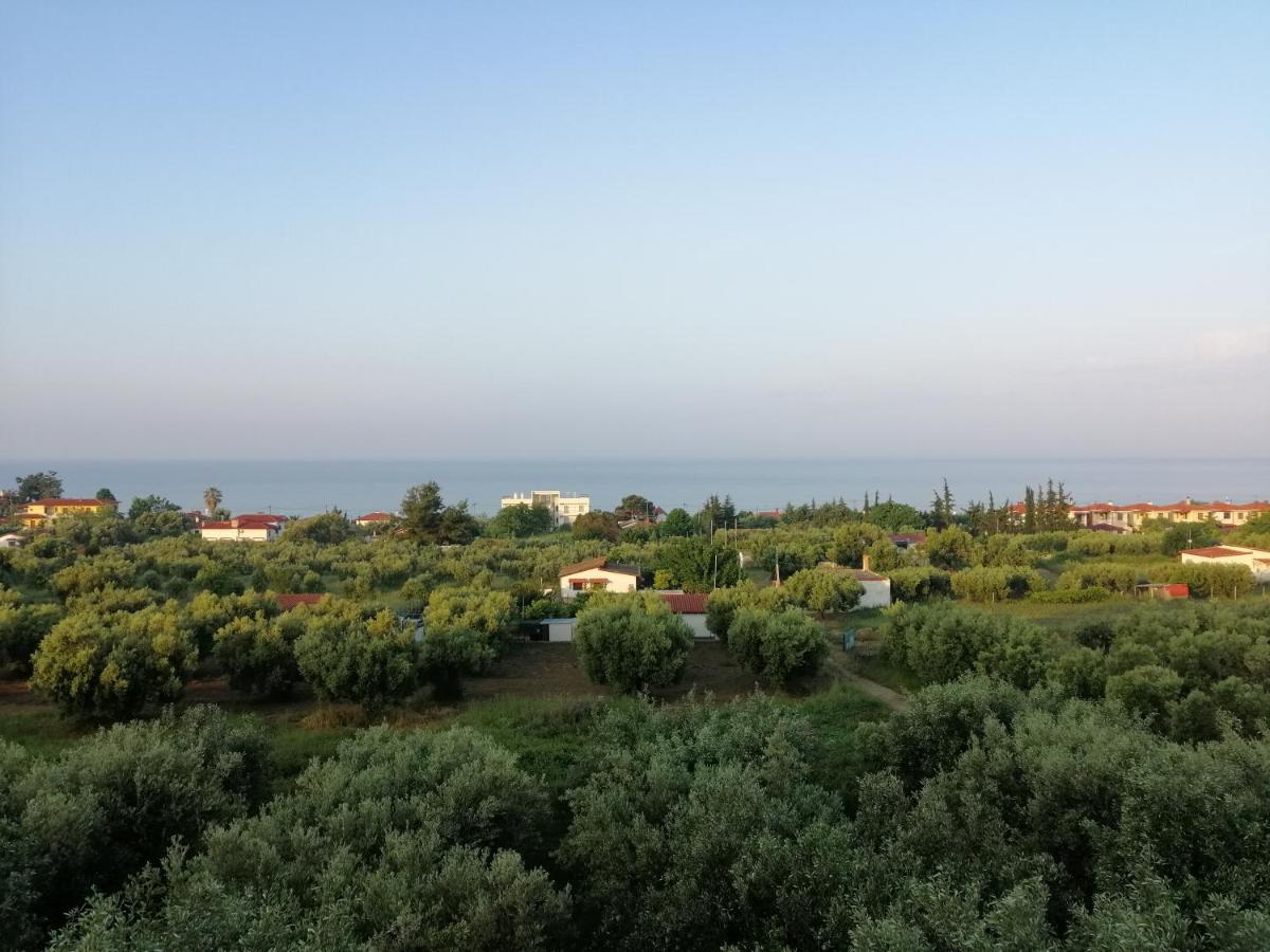 Villa Herodicus Nea Skioni