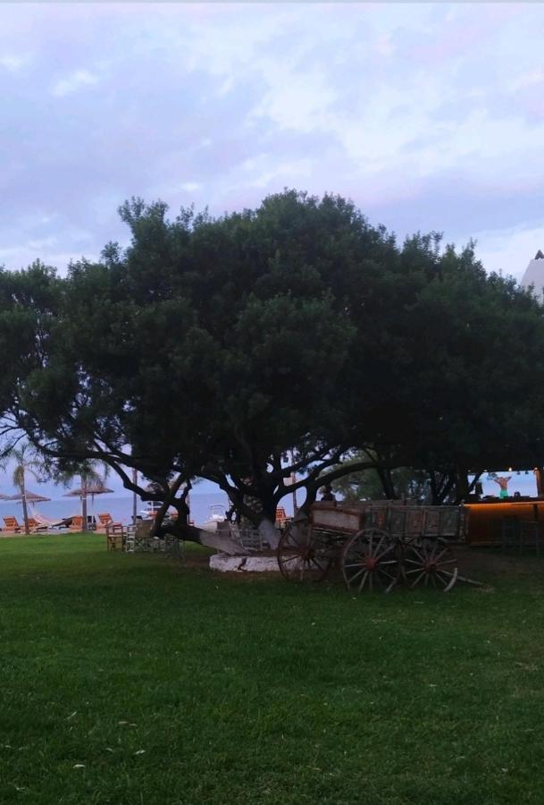 Melivia Luxury