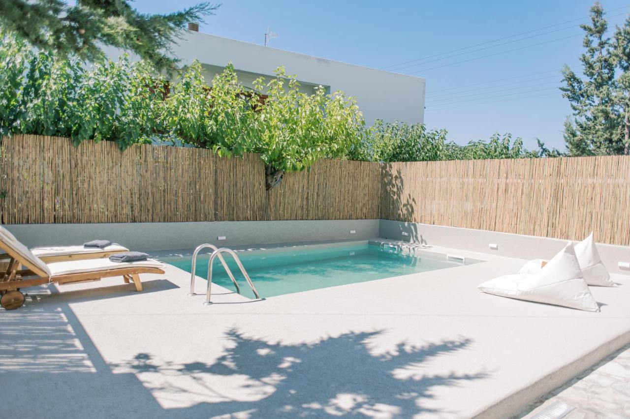 Kostantakis Pool House Pollonia