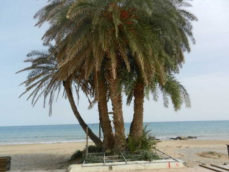Hotel Sunshine 3*