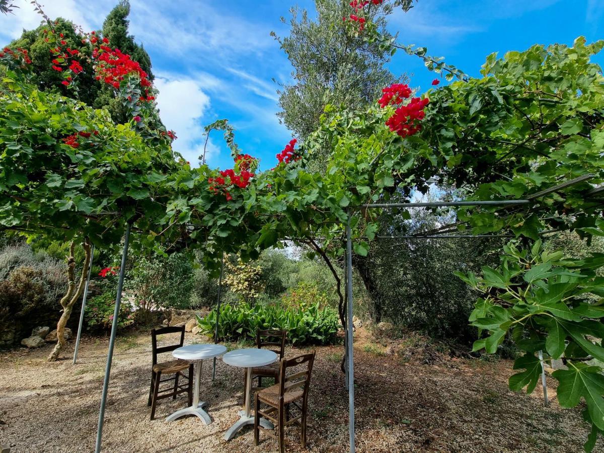 Forestata Village Apartment Kouvalata