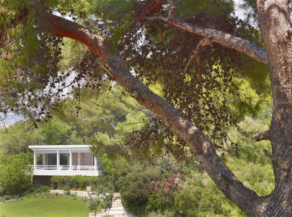 Arion & Spa, Astir Palace