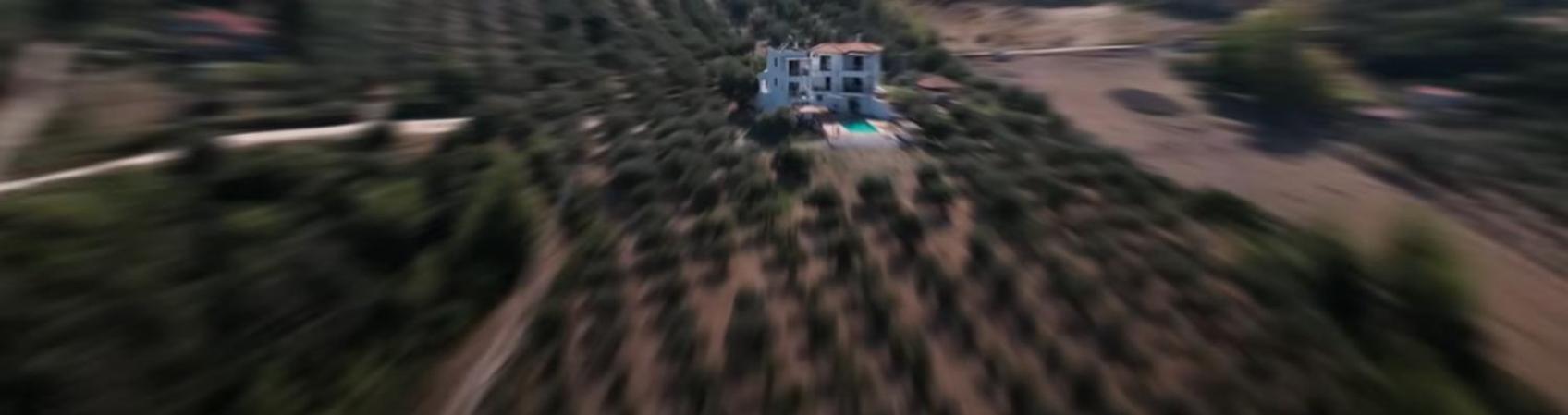 Villa Freebird Vip Bachelor Party & Wedding Events *