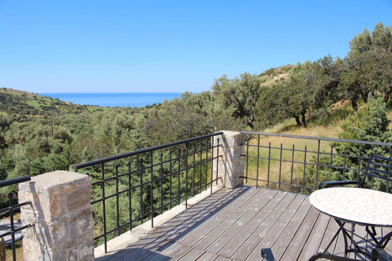 Blue Stone Triopetra