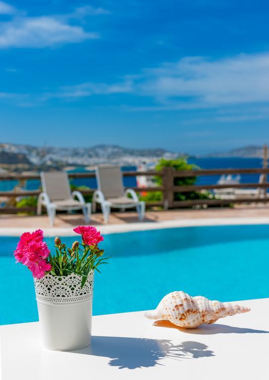 Hotel Paradision