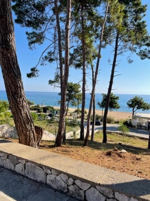 Dina Apartment Skala (Kefalonia)