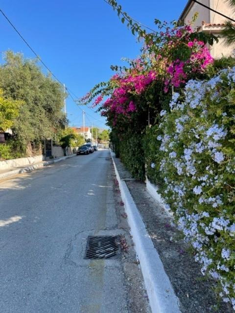 Apartment Dina Skala (Kefalonia)