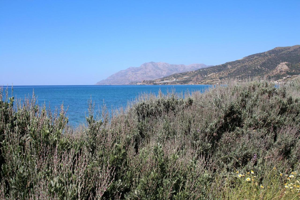 Armenopetra * Keratokampos