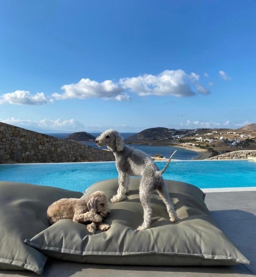 Lydia With Stunning View, By Red Windmill Villa *