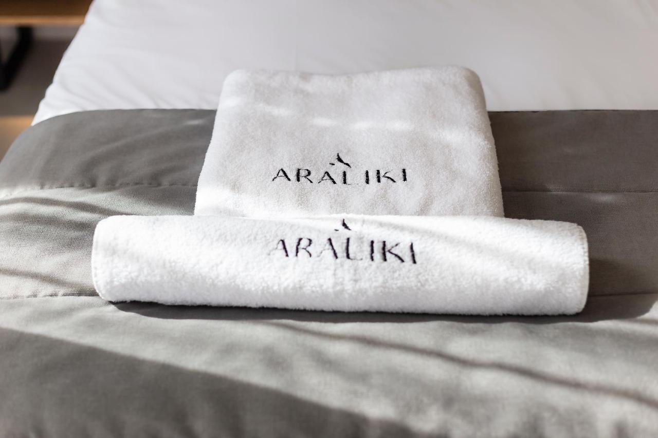 Apartment Araliki