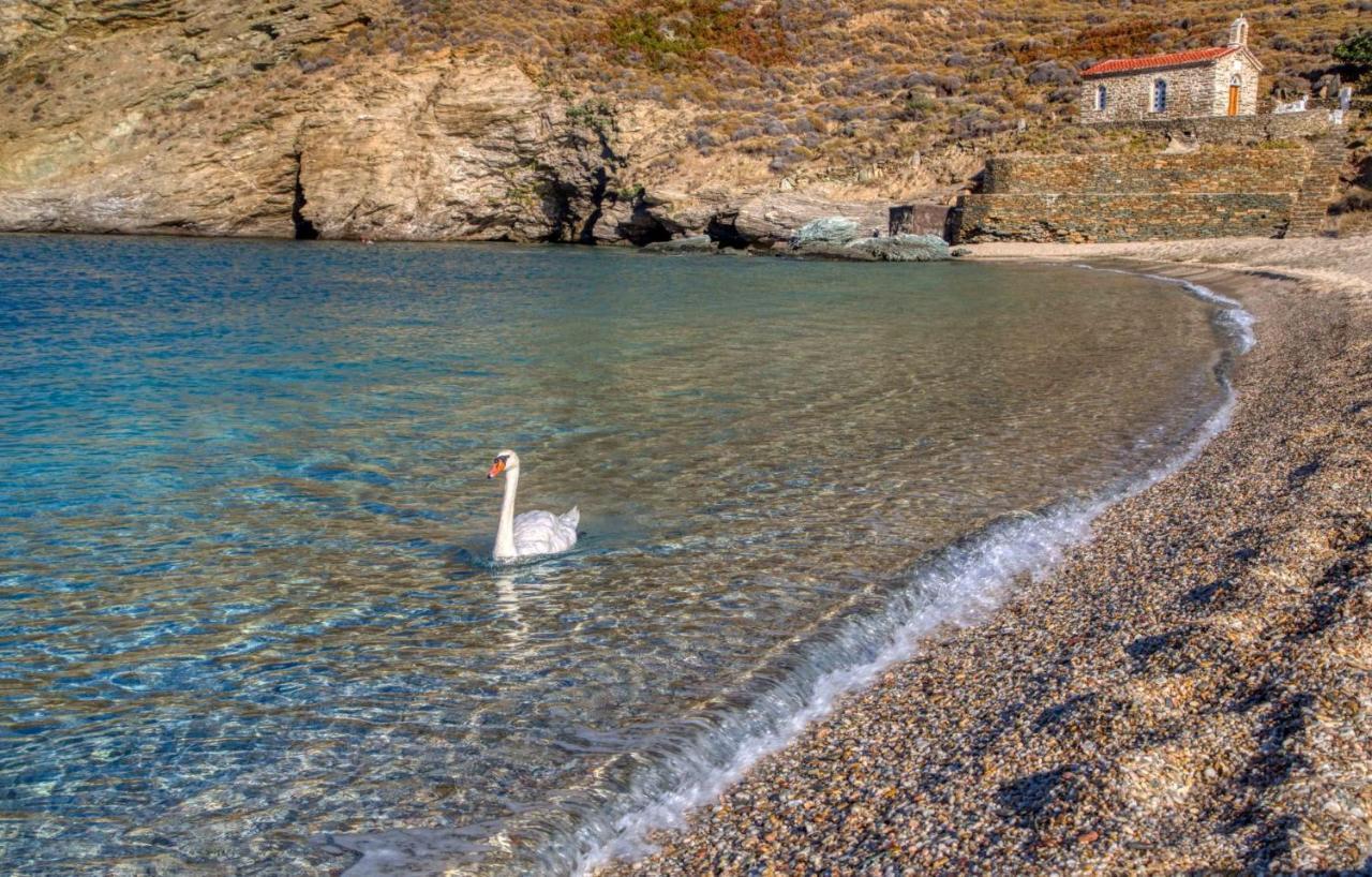 Apartment Andros Guesthouses Andros Town
