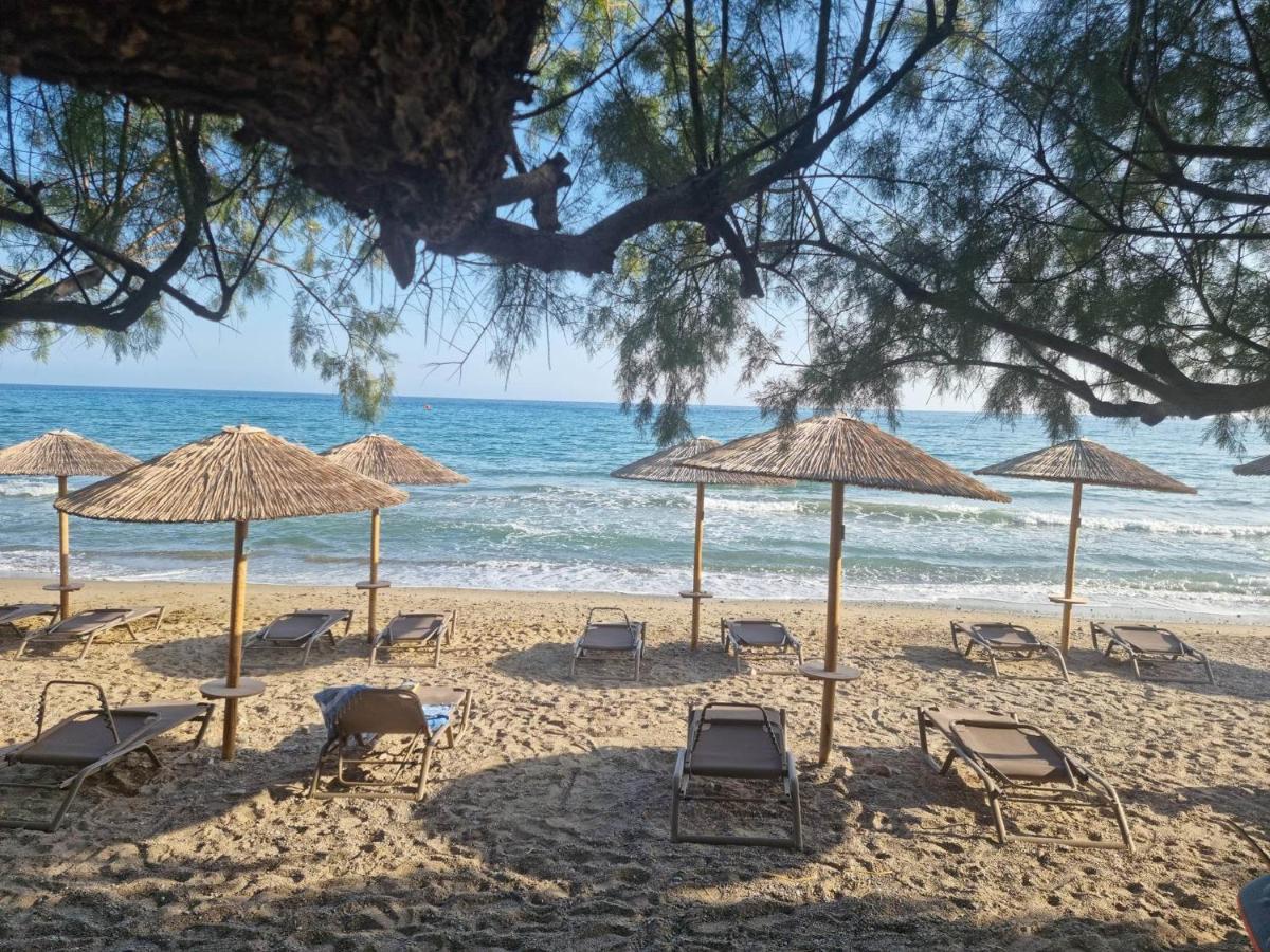 Artemis Makry Gialos (Crete)