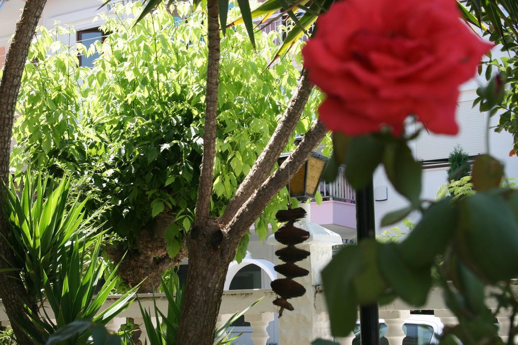 Dionisos Palms Apartment Paralia Dionysiou
