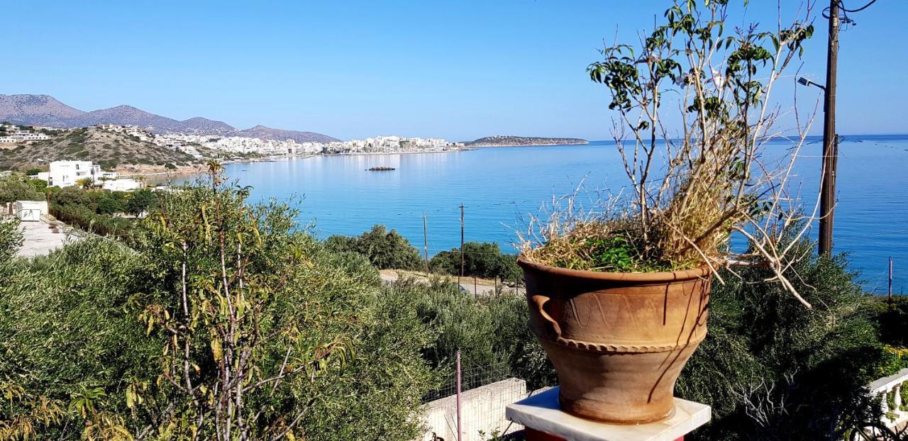 Allas, Guest Art * Agios Nikolaos (Crete)