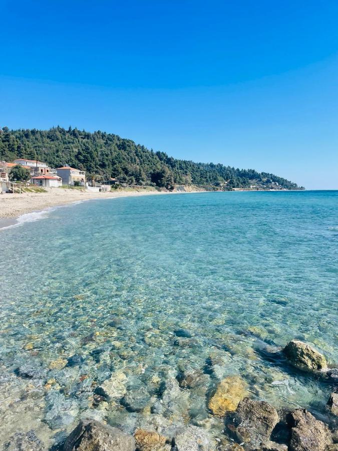 Apartment Dariva