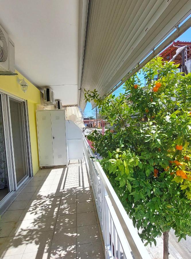 Orange Tree Apartment