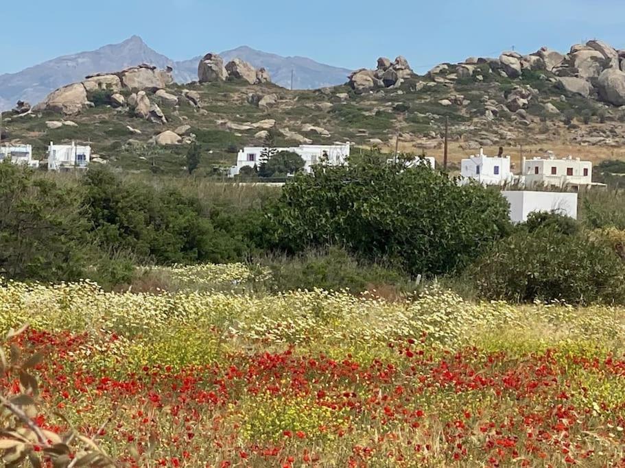 2 Naxos *