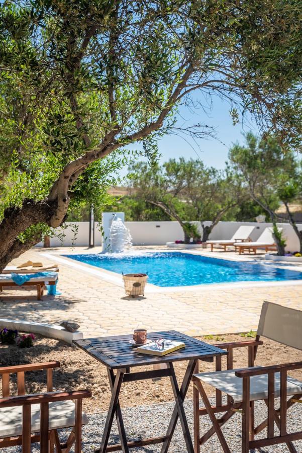 Fantasy Guest house