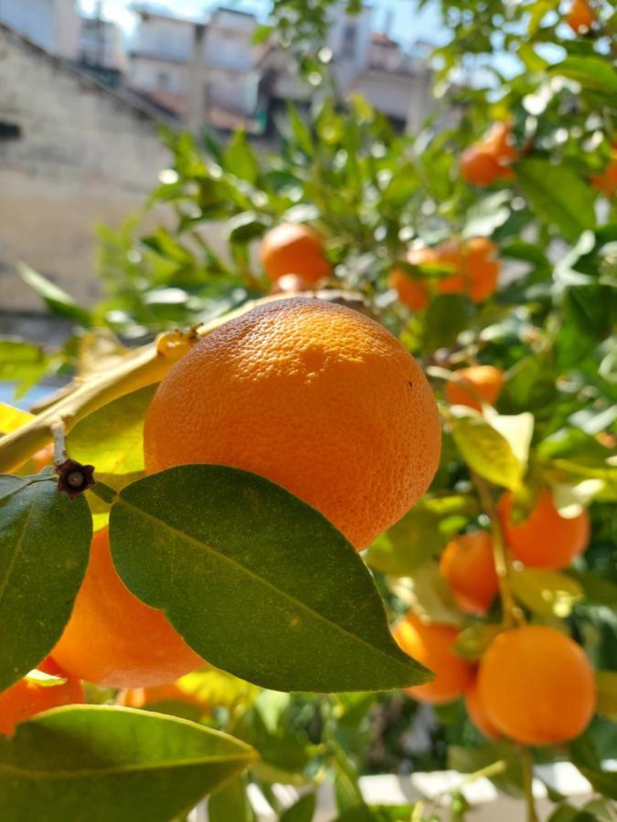 Orange Tree