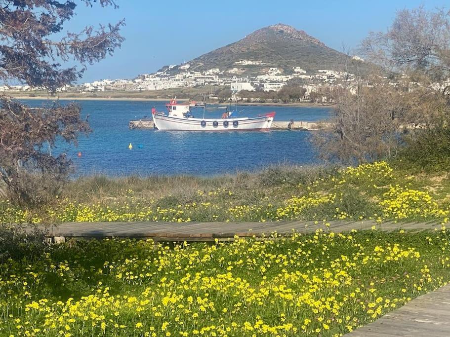 2 Naxos *