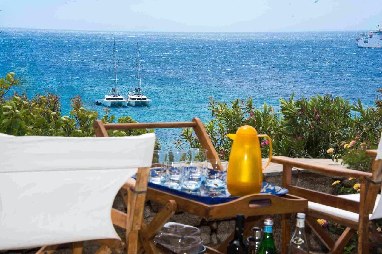 Mykonos Serendipity