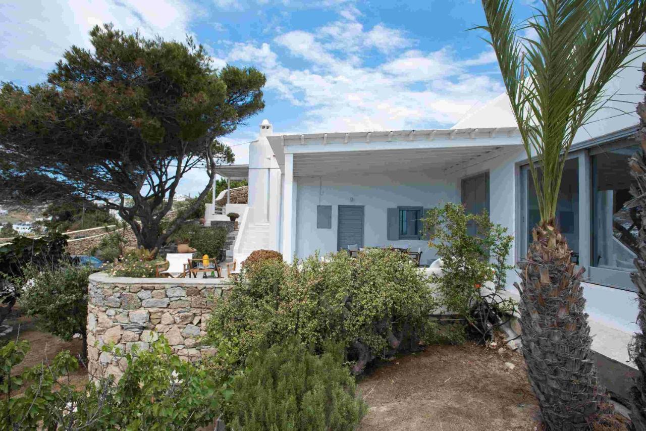 Mykonos Serendipity