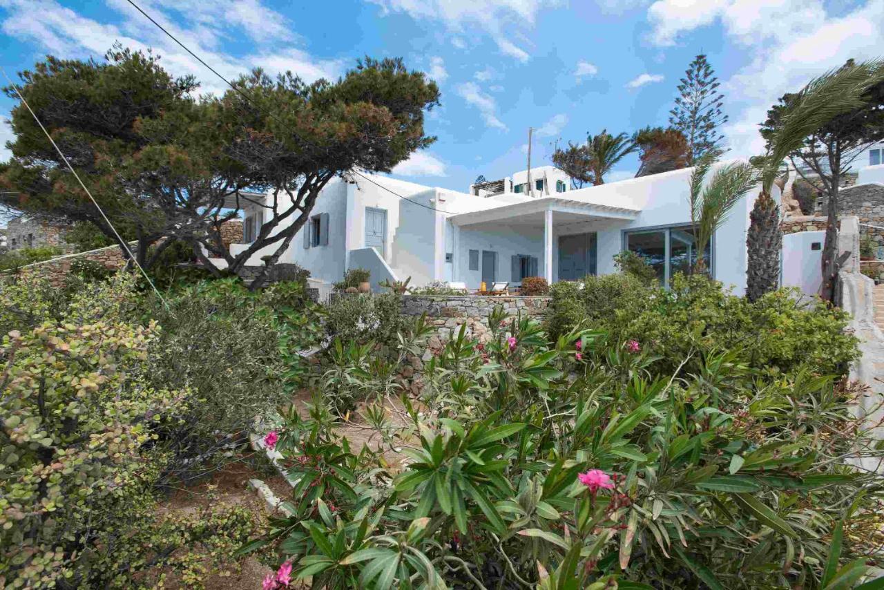 Mykonos Serendipity