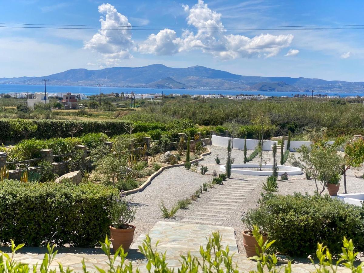 2 Naxos Villa *