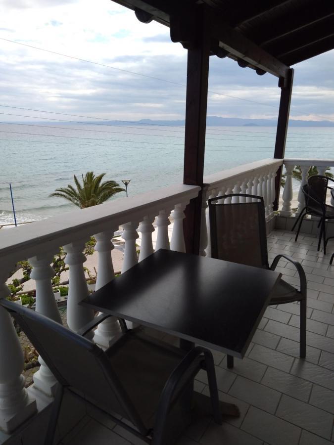 Hotel Polychrono Beach Hotel 3*