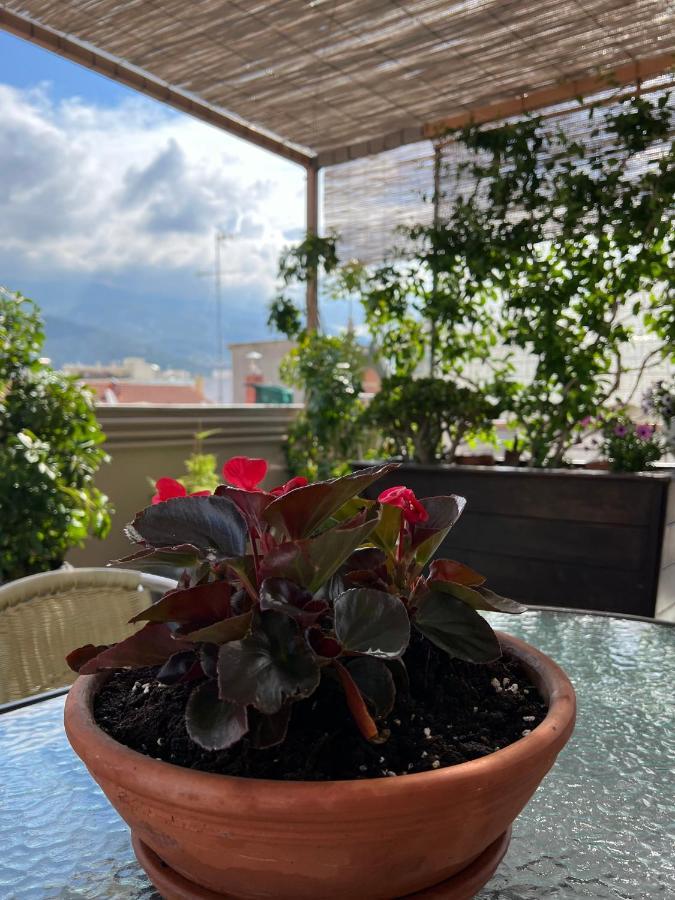 Apartment Away From Volos