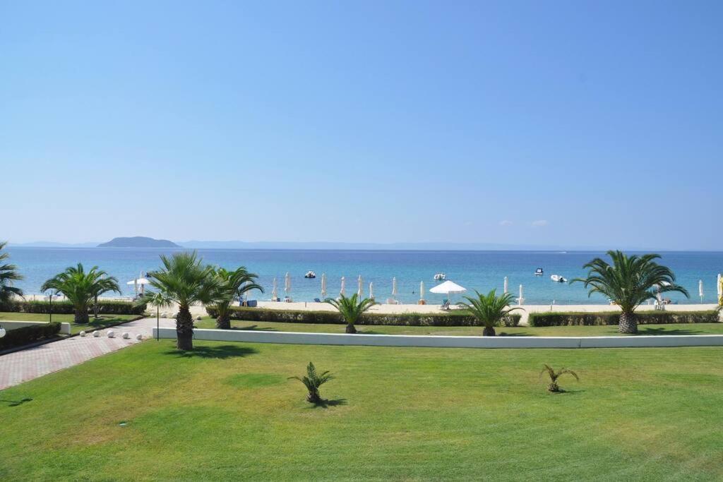 The Absolute Beachfront *