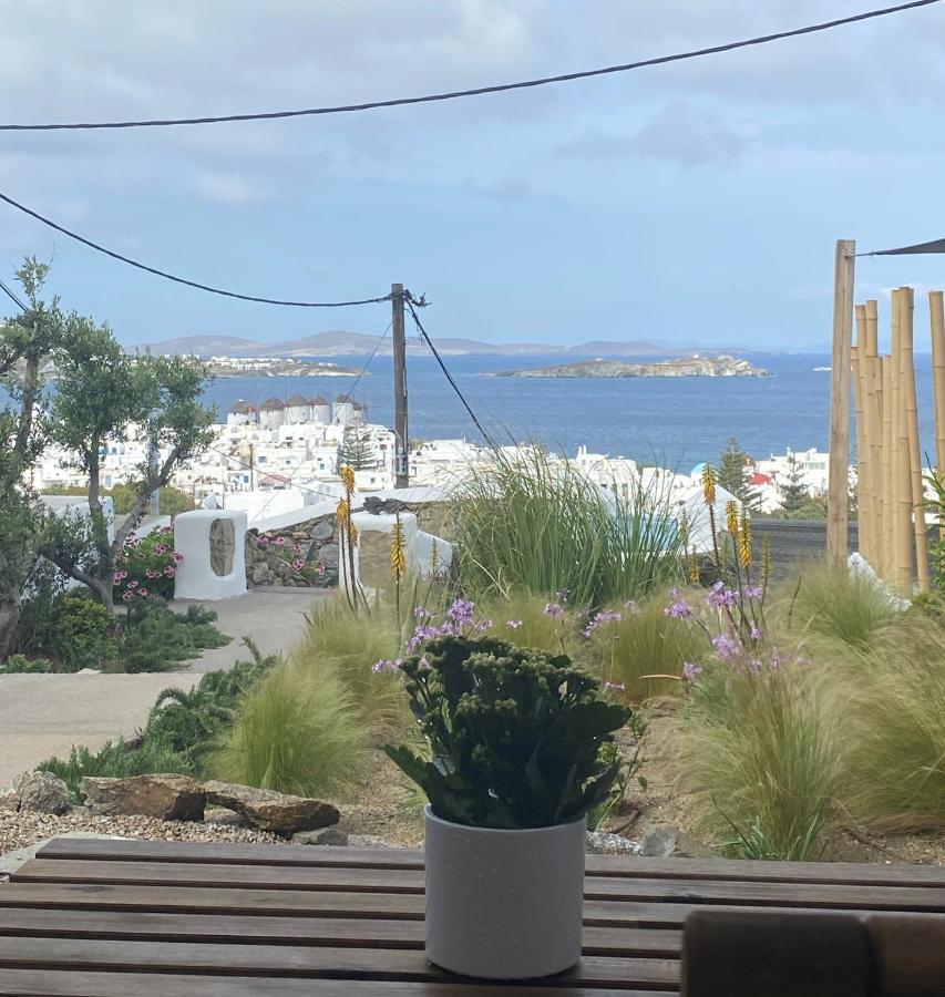 The View Of Mykonos * Mykonos Town