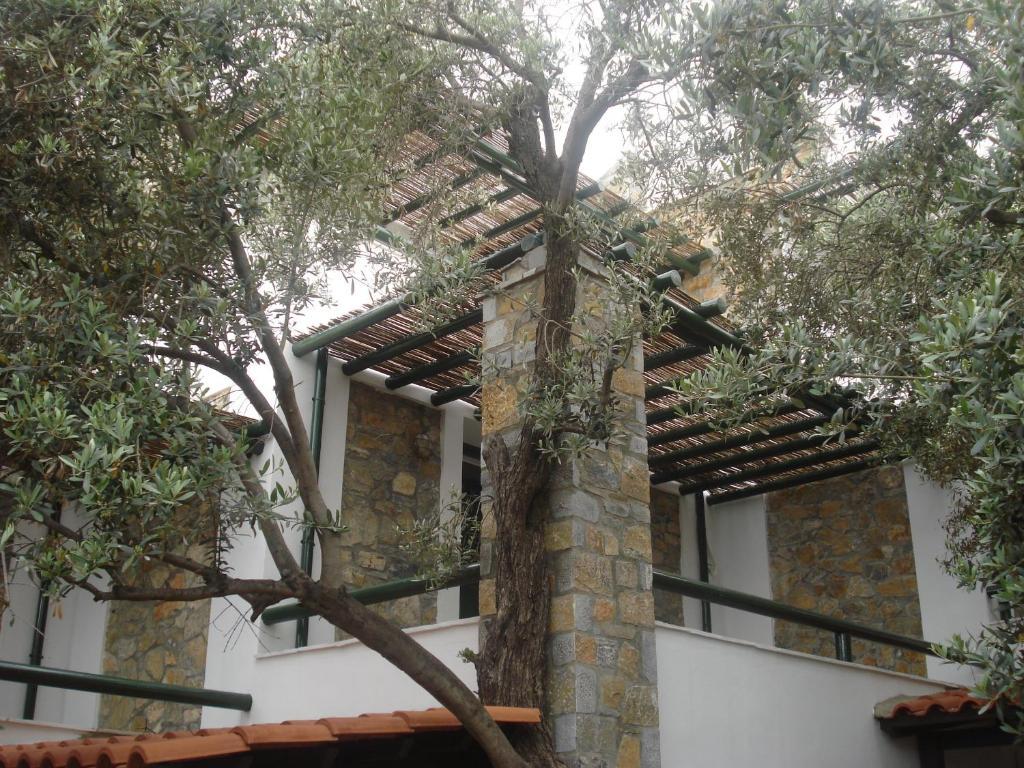 Elia Village 3* Plomari