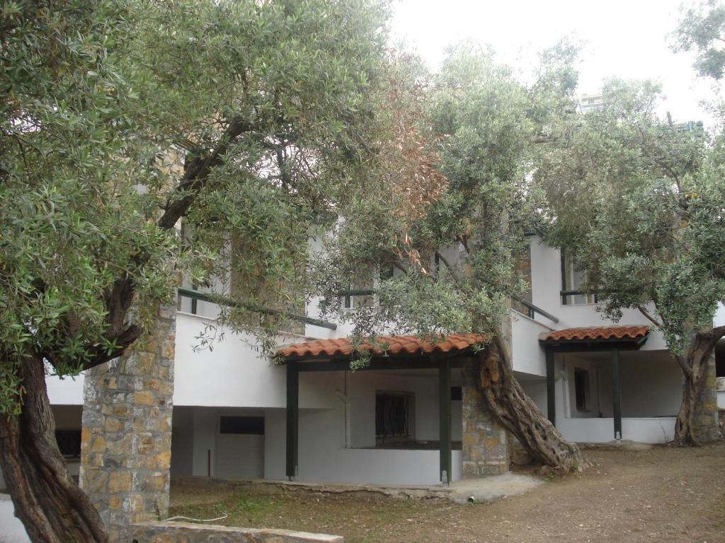 Elia Village Aparthotel