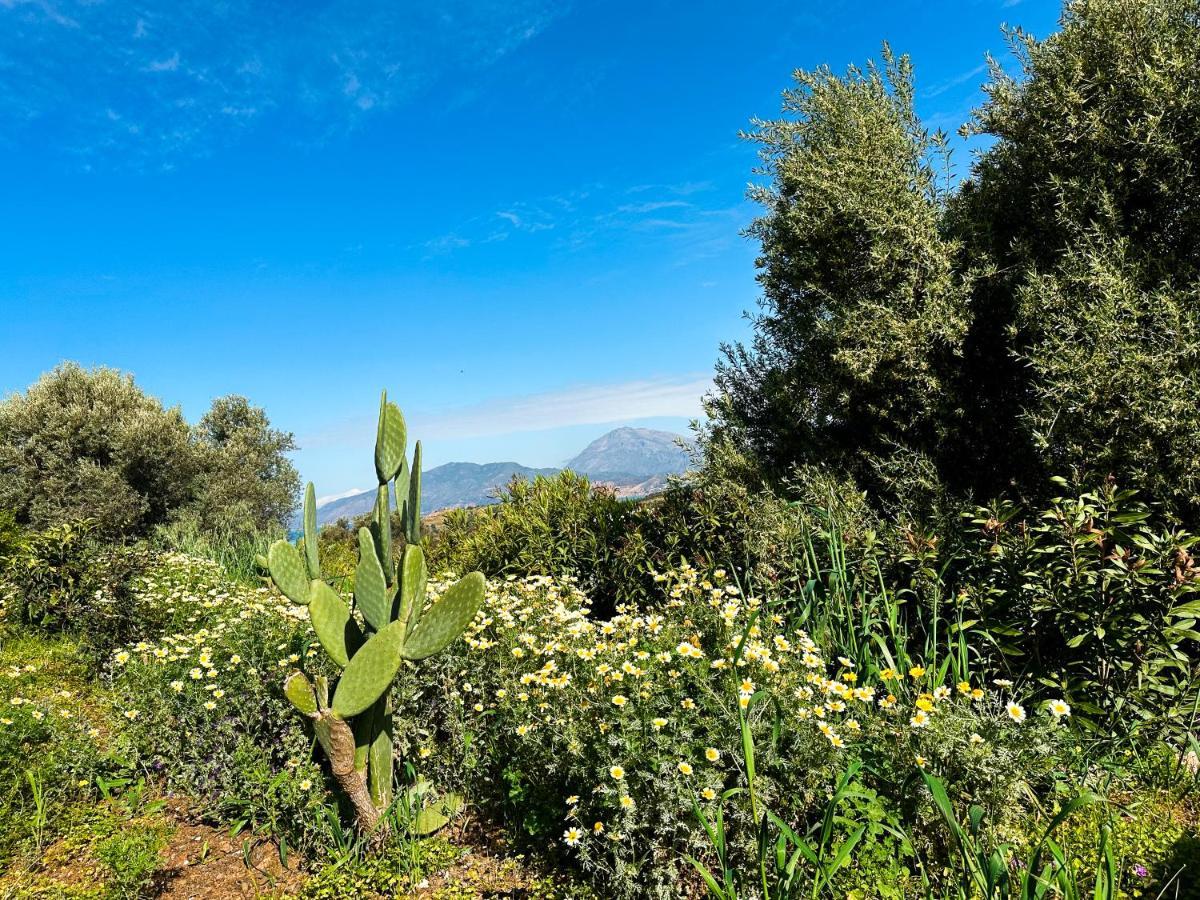 Taf - Kreta Kamilari