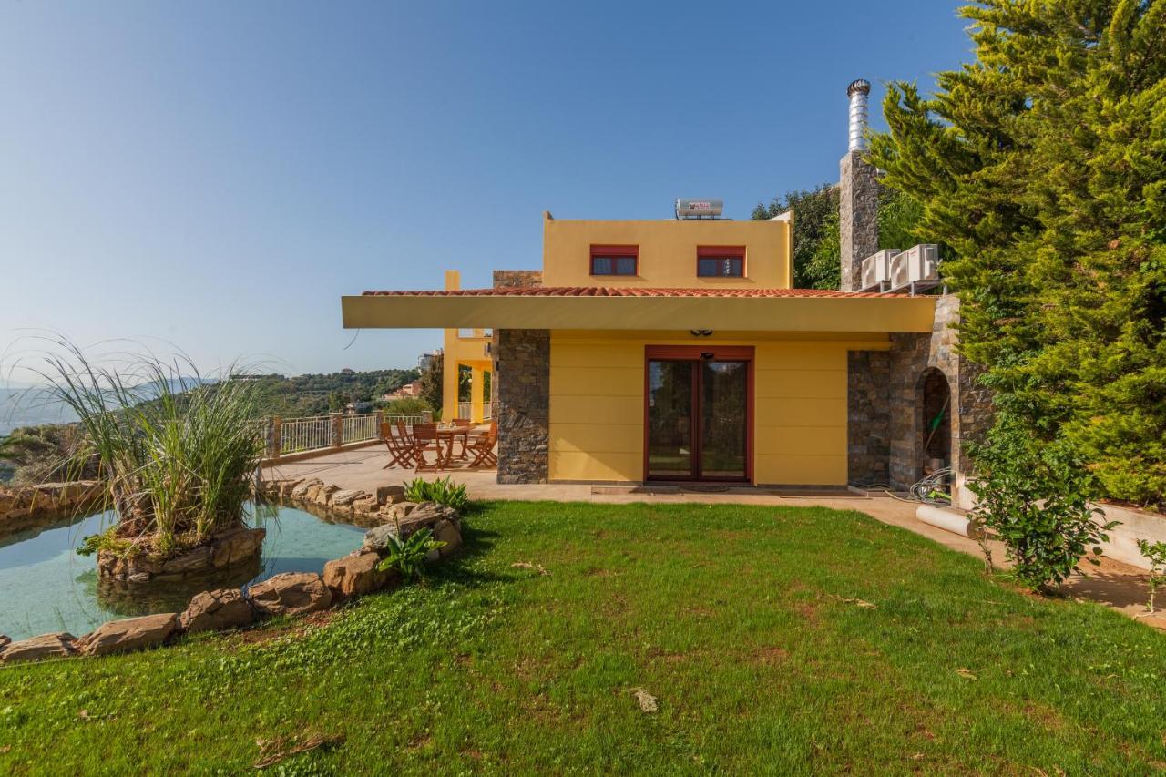 Alexandros Villa *