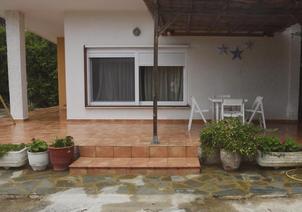 τhe Banana Tree House *