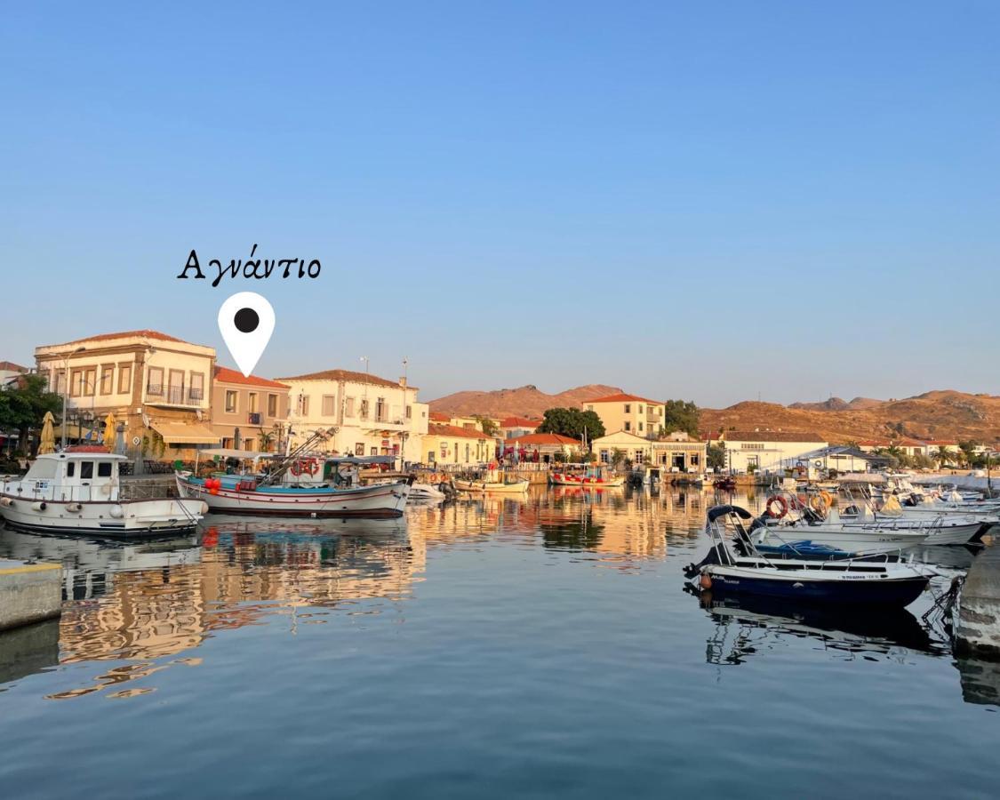 «αγναντιο L» με μοναδική θέα! Apartment Myrina