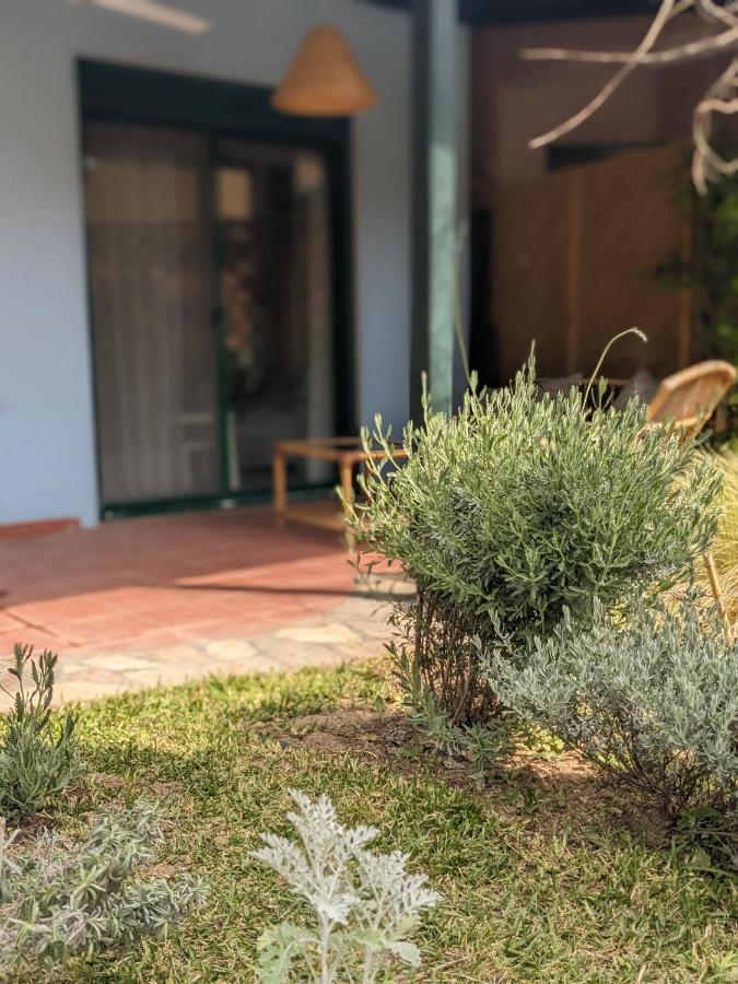 Blue House 30m From The With Sea View Nikiti (Sithonia)