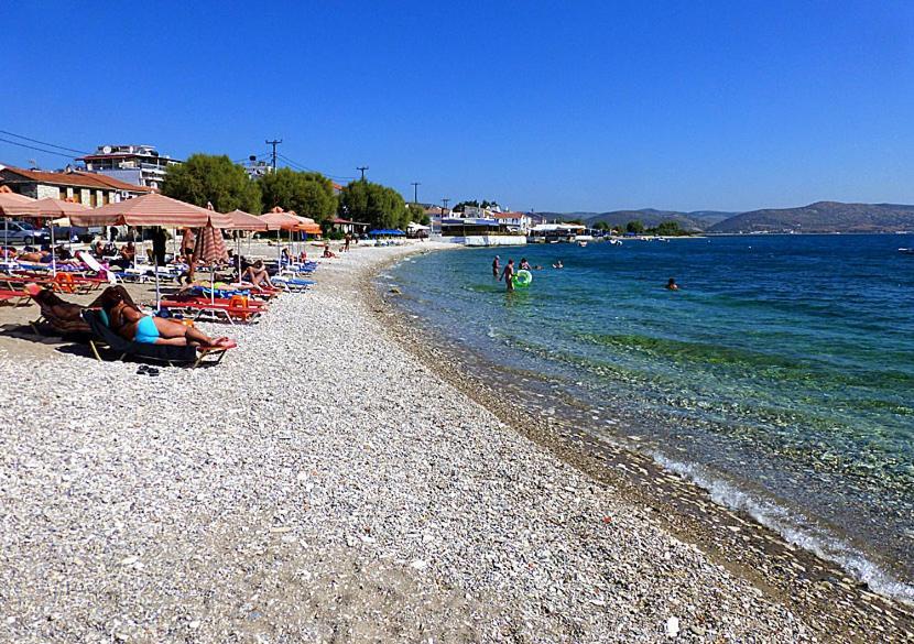 Alpha Apartment, Samos Ireo (Samos)
