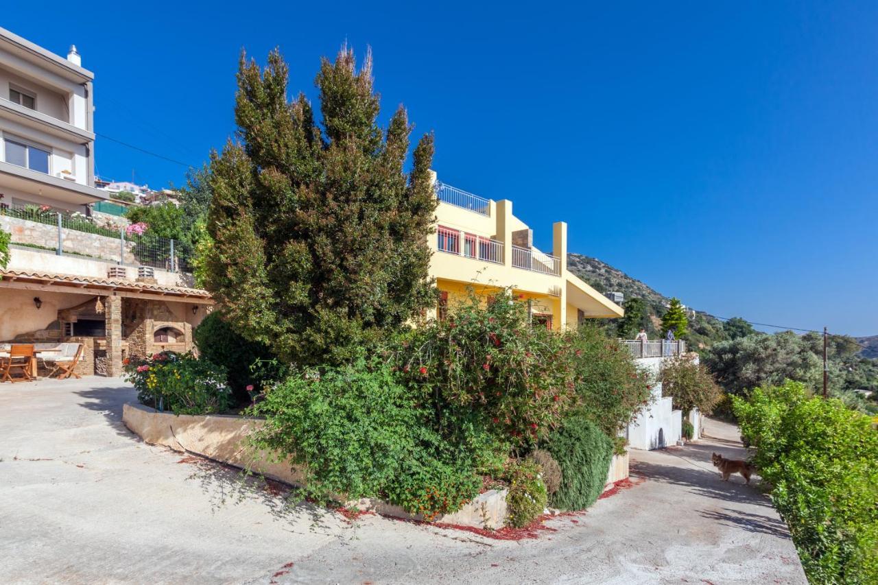 Alexandros Villa *