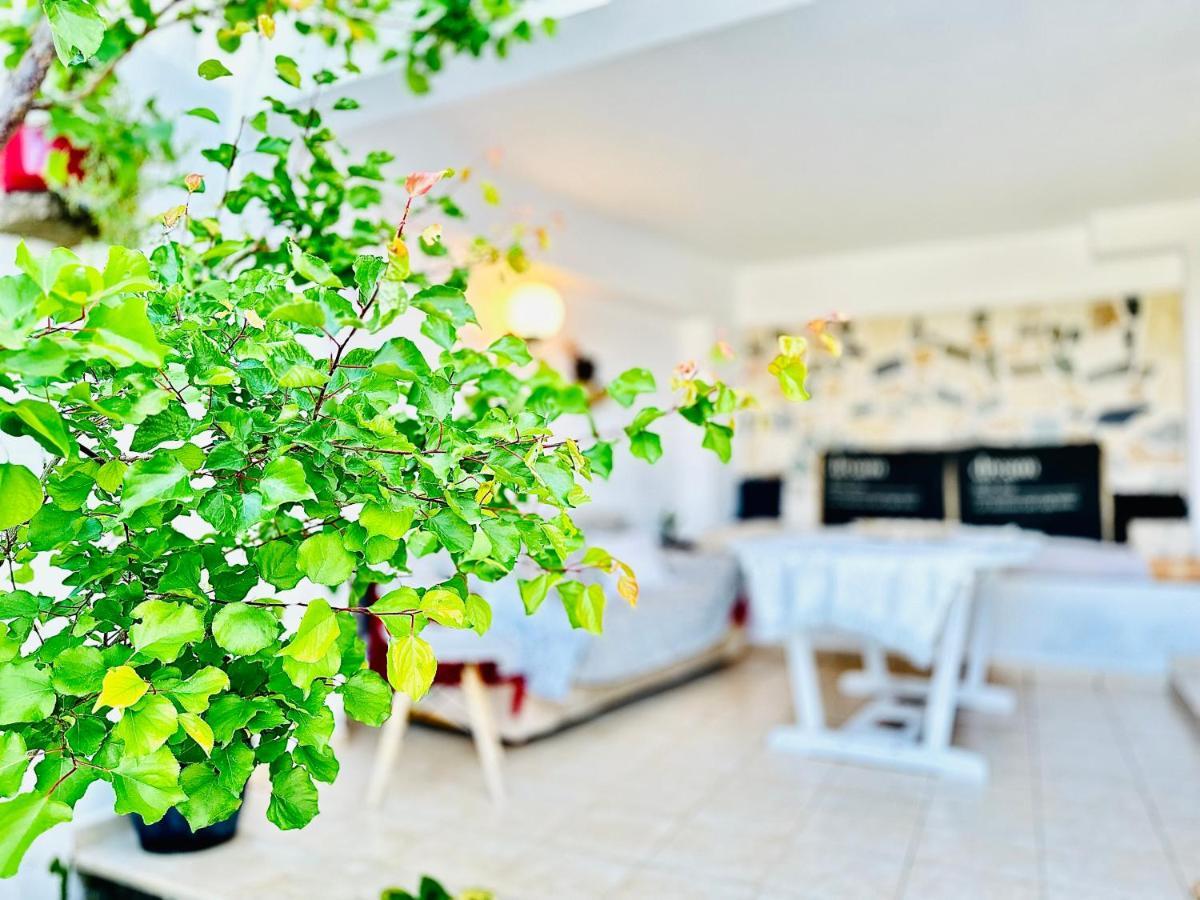 Villa Elia Woodstone Elia (Crete)