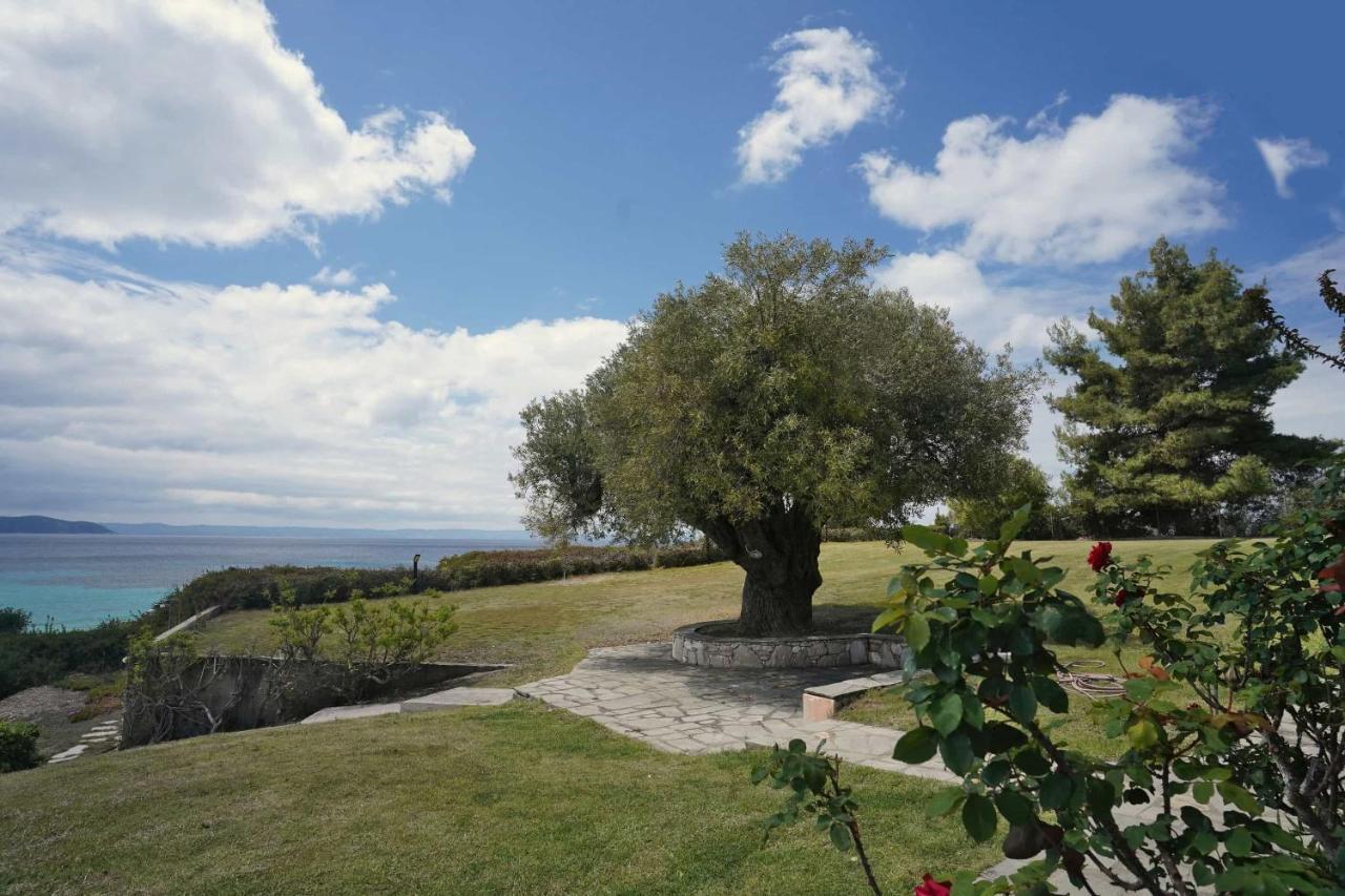 Holiday home Alterra Captain's *