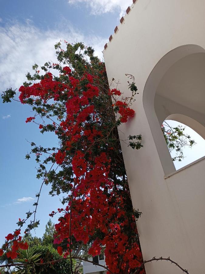 Apartment Castello Verde Plakias *