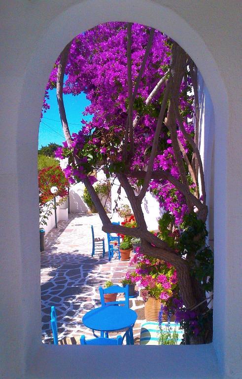 Pelagos Aparthotel Parikia (Paros)