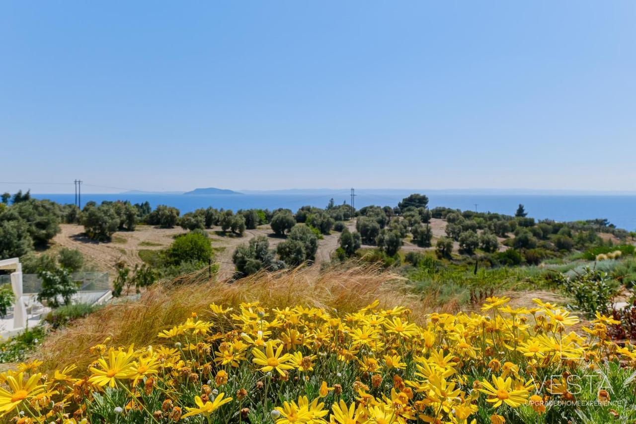 Olive Grove - With Private Pool And Garden * Nikiti (Sithonia)