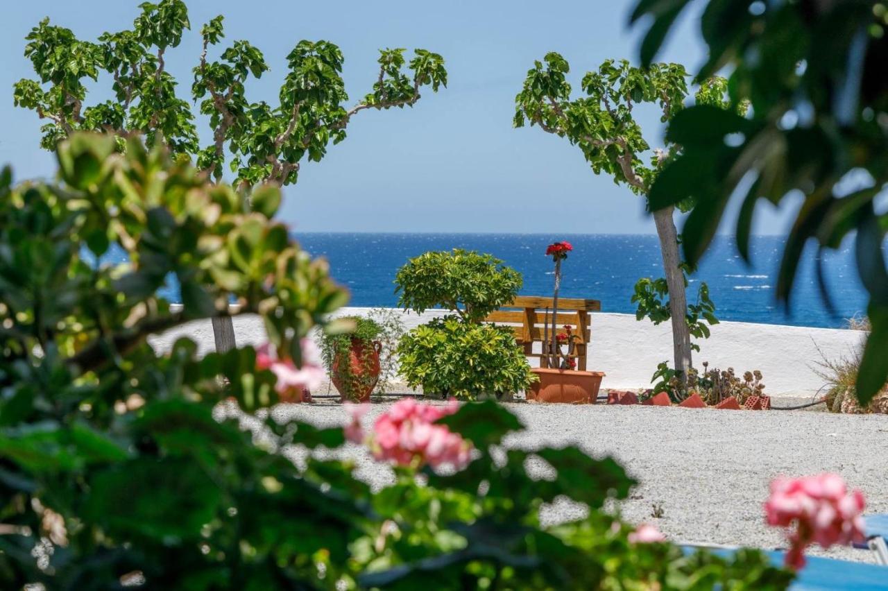 Creta Sun Mochlos