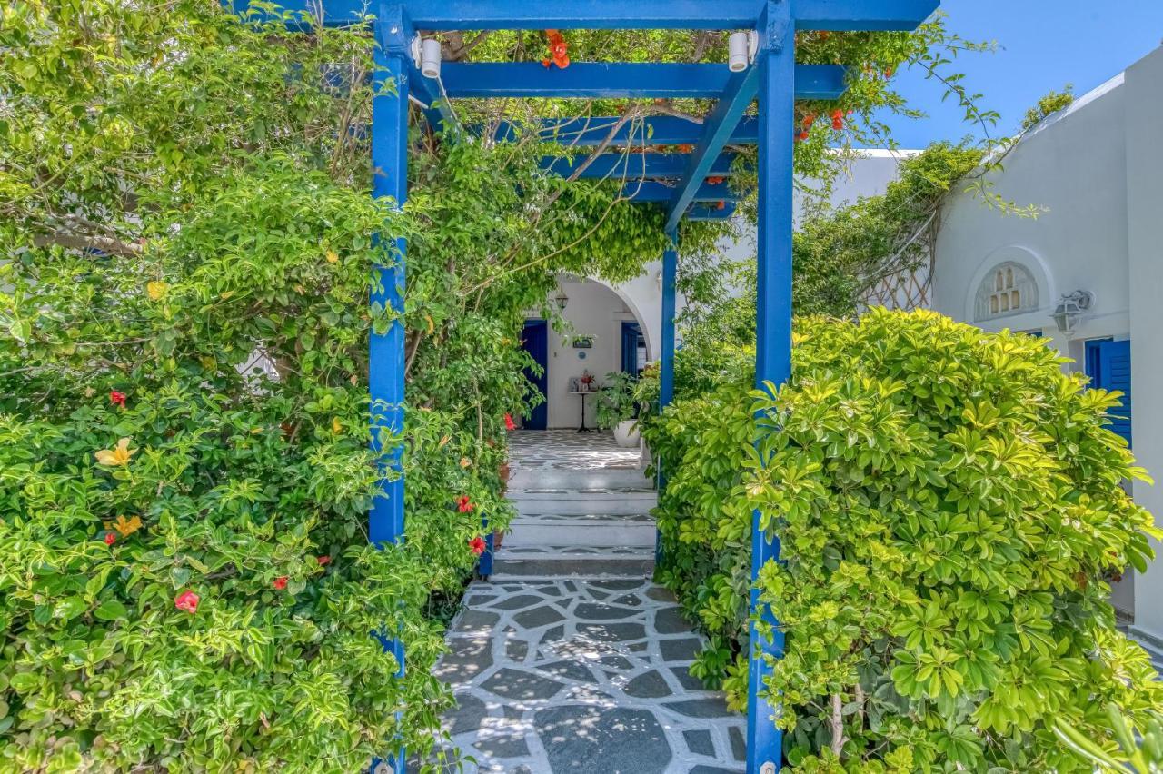 Apartment Alpha Naousa (Paros)