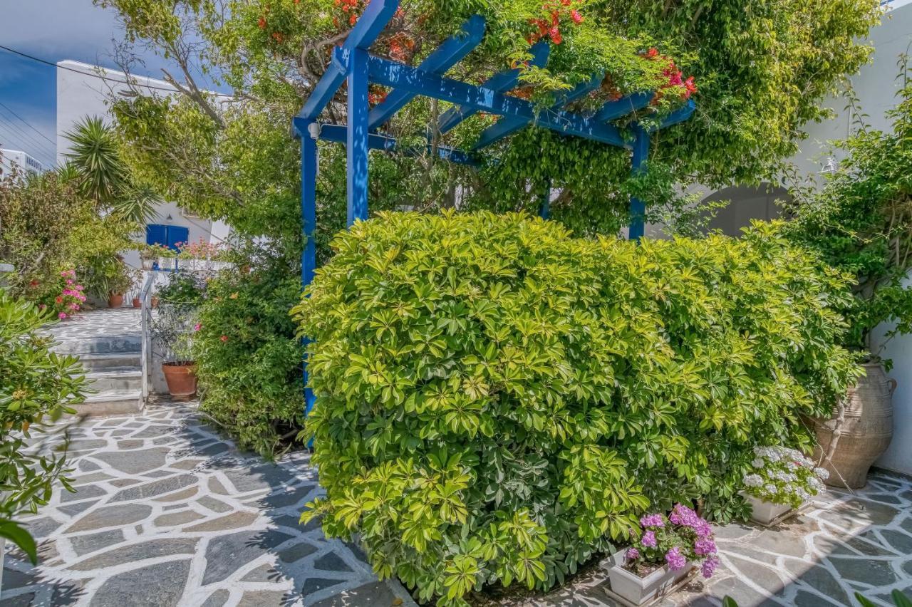 Alpha * Naousa (Paros)