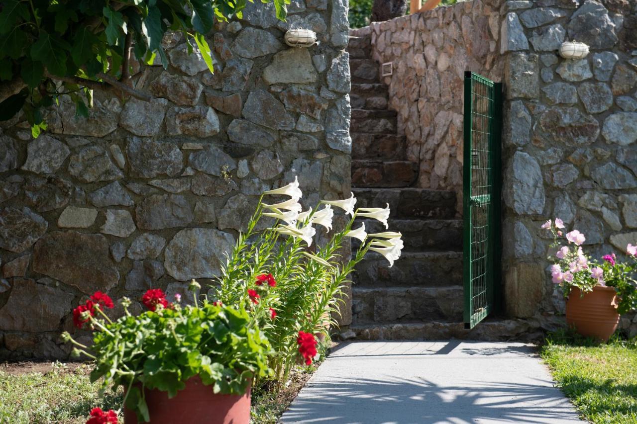 Studios Kofos Limin Apartment